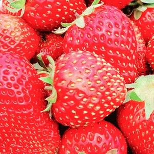 Meet your Posher, Posh